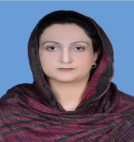 Organizing committee